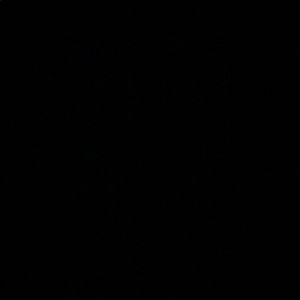 Meet your Posher, Janay